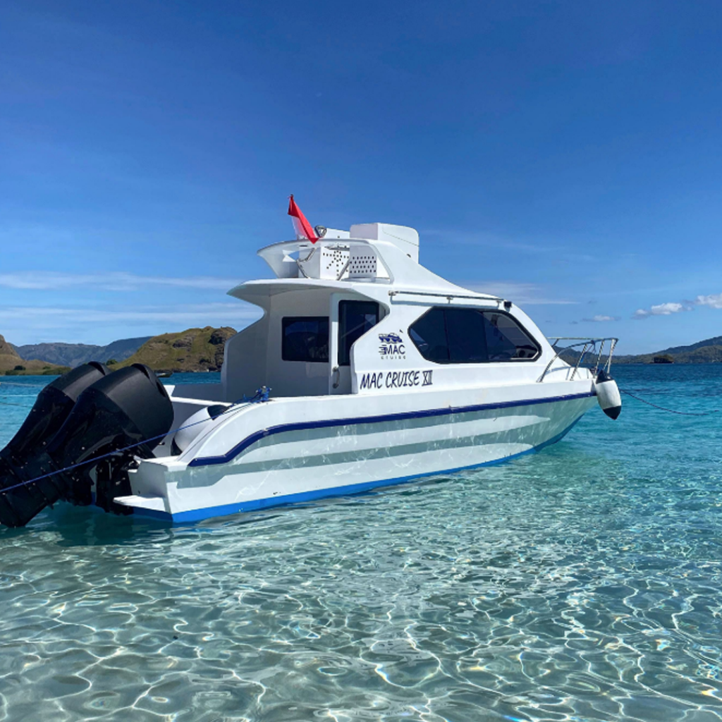 MAC Cruise