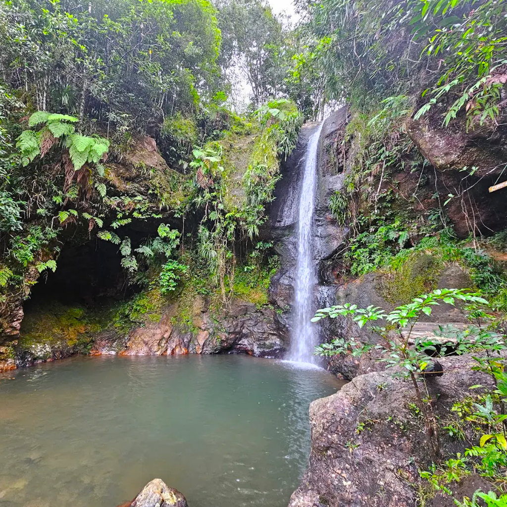 Waterfall Tour